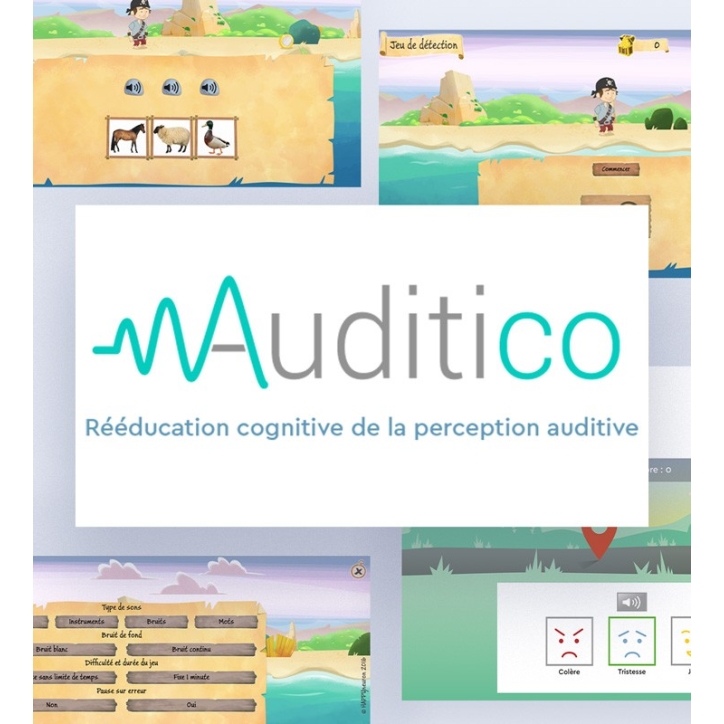 Auditico