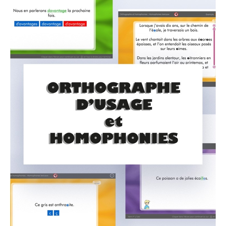 Orthographe et homophonies